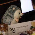 Contest-photoclip-1-15.jpg
