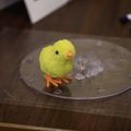 Contest-photoclip-1-2.jpg